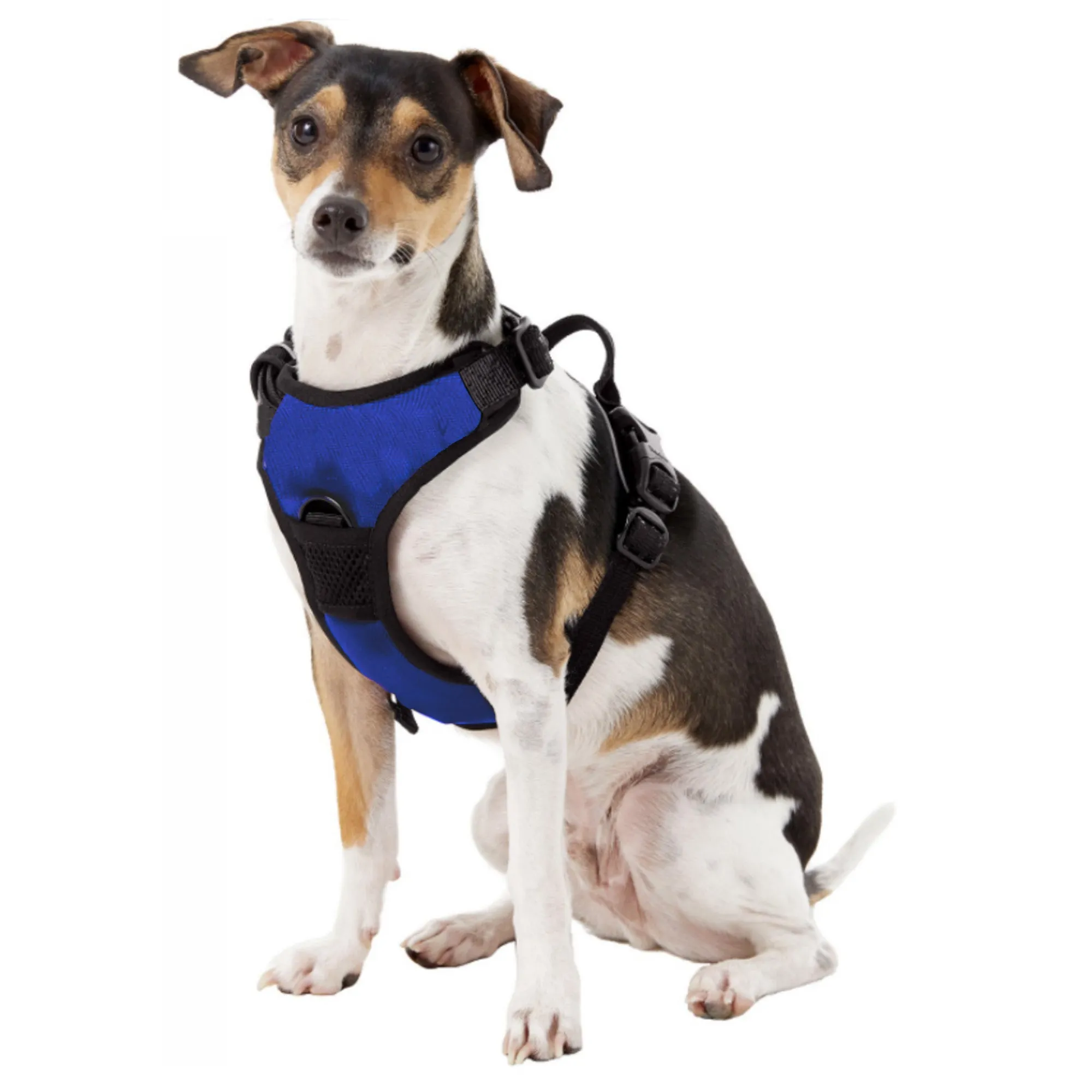 University of Kansas Front Clip Pet Harness
