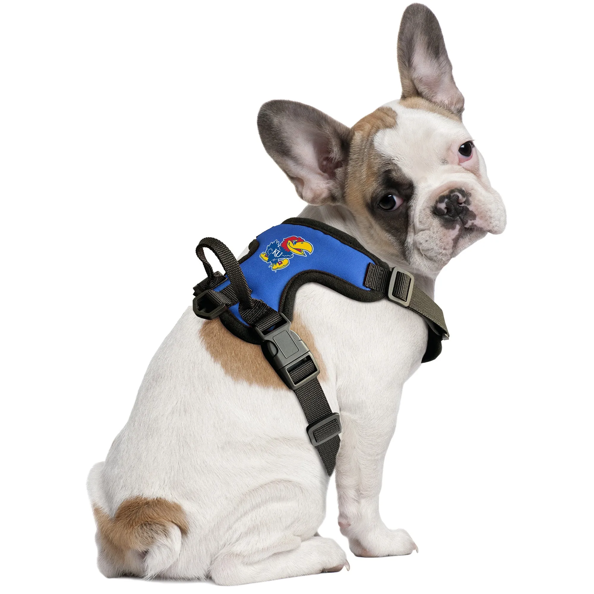 University of Kansas Front Clip Pet Harness