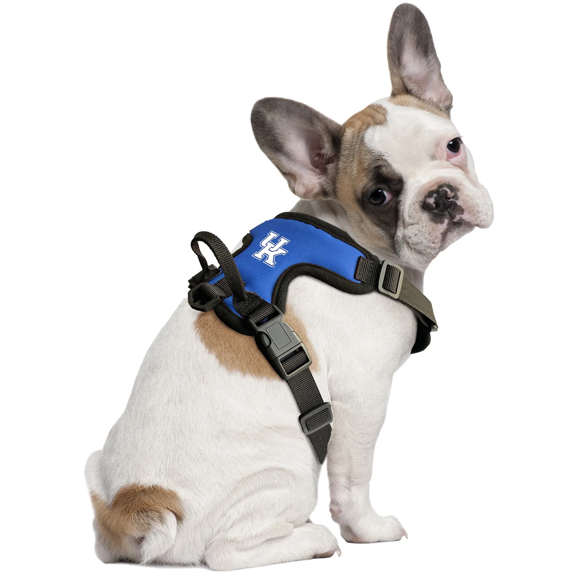 University of Kentucky Front Clip Pet Harness