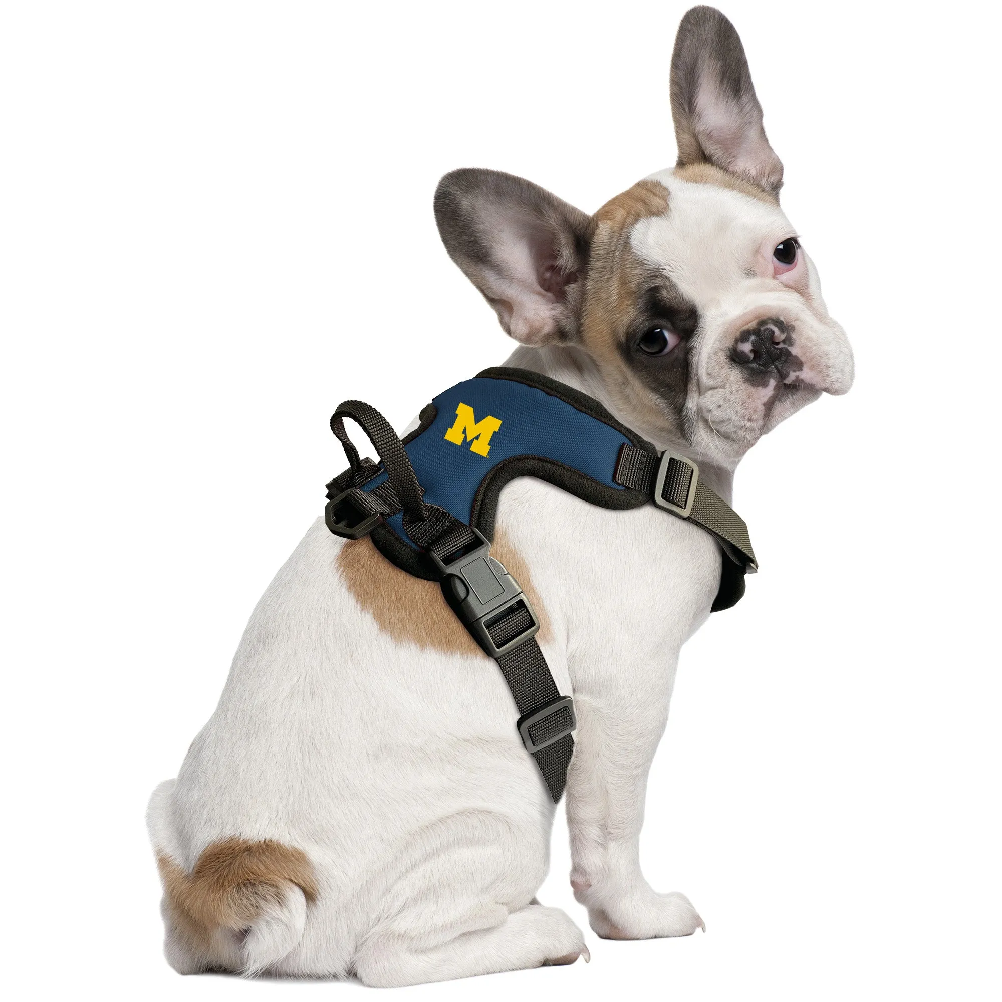 University of Michigan Front Clip Pet Harness