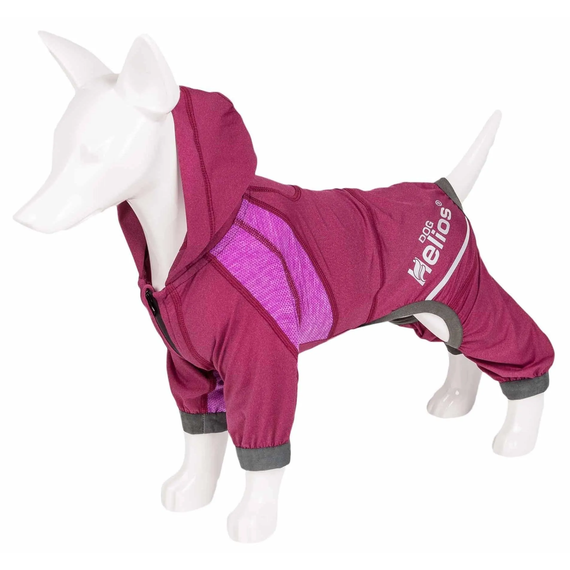 Yoga Dog Hoodie