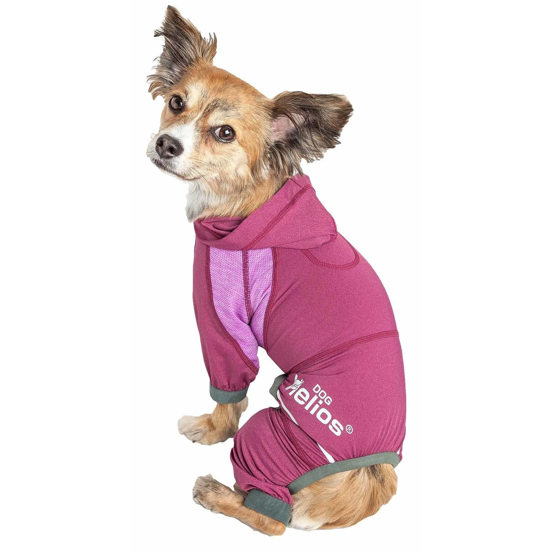 Yoga Dog Hoodie