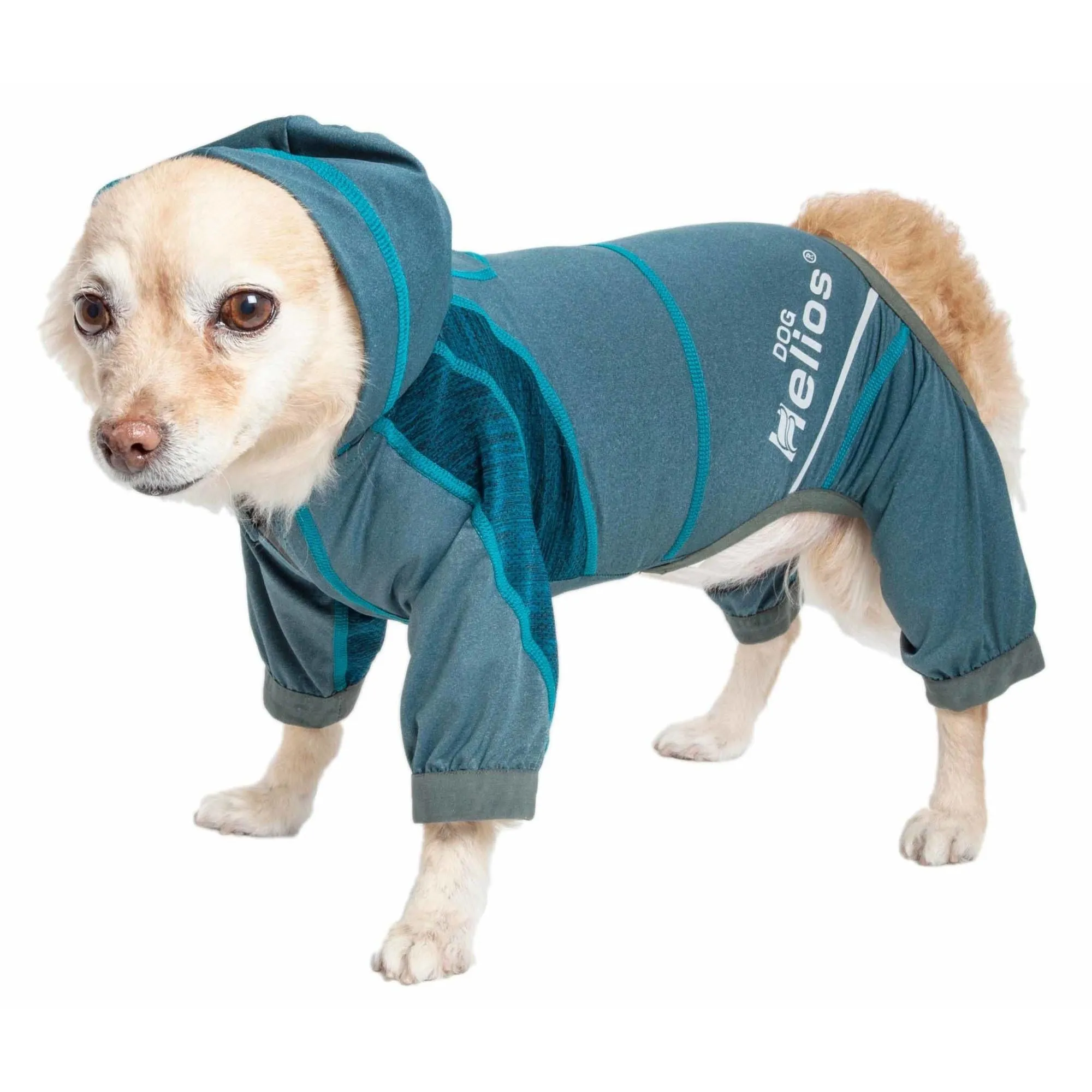 Yoga Dog Hoodie