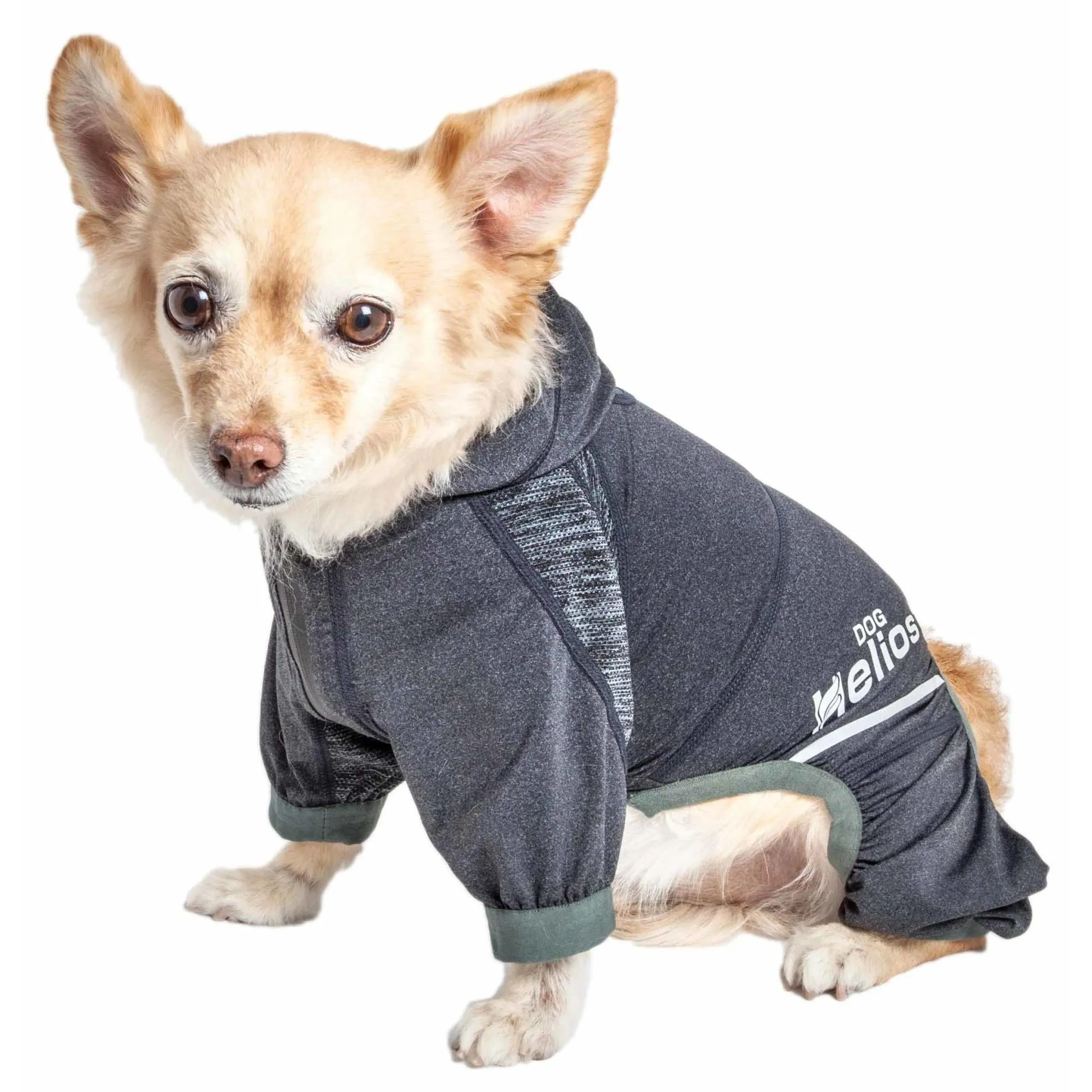 Yoga Dog Hoodie
