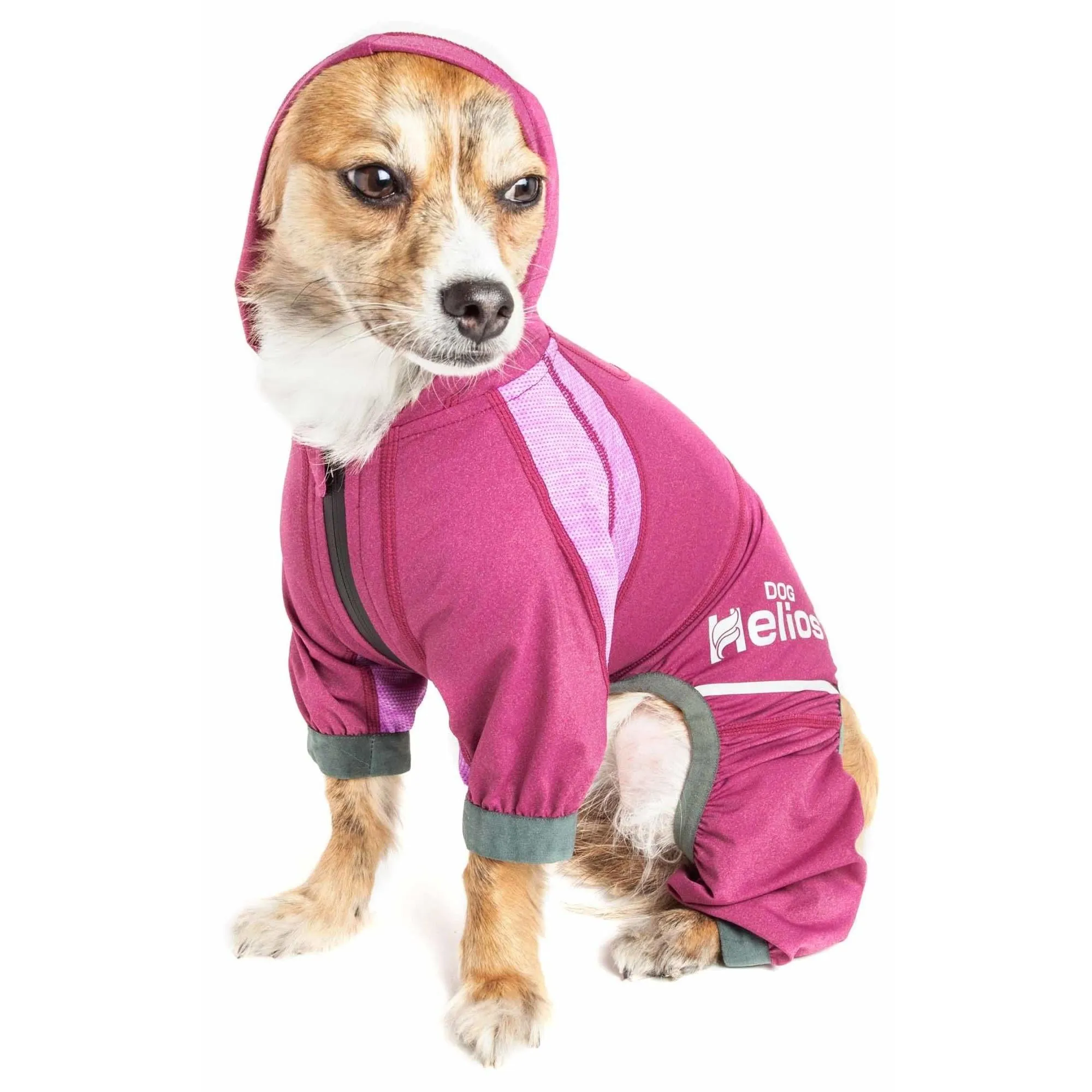 Yoga Dog Hoodie
