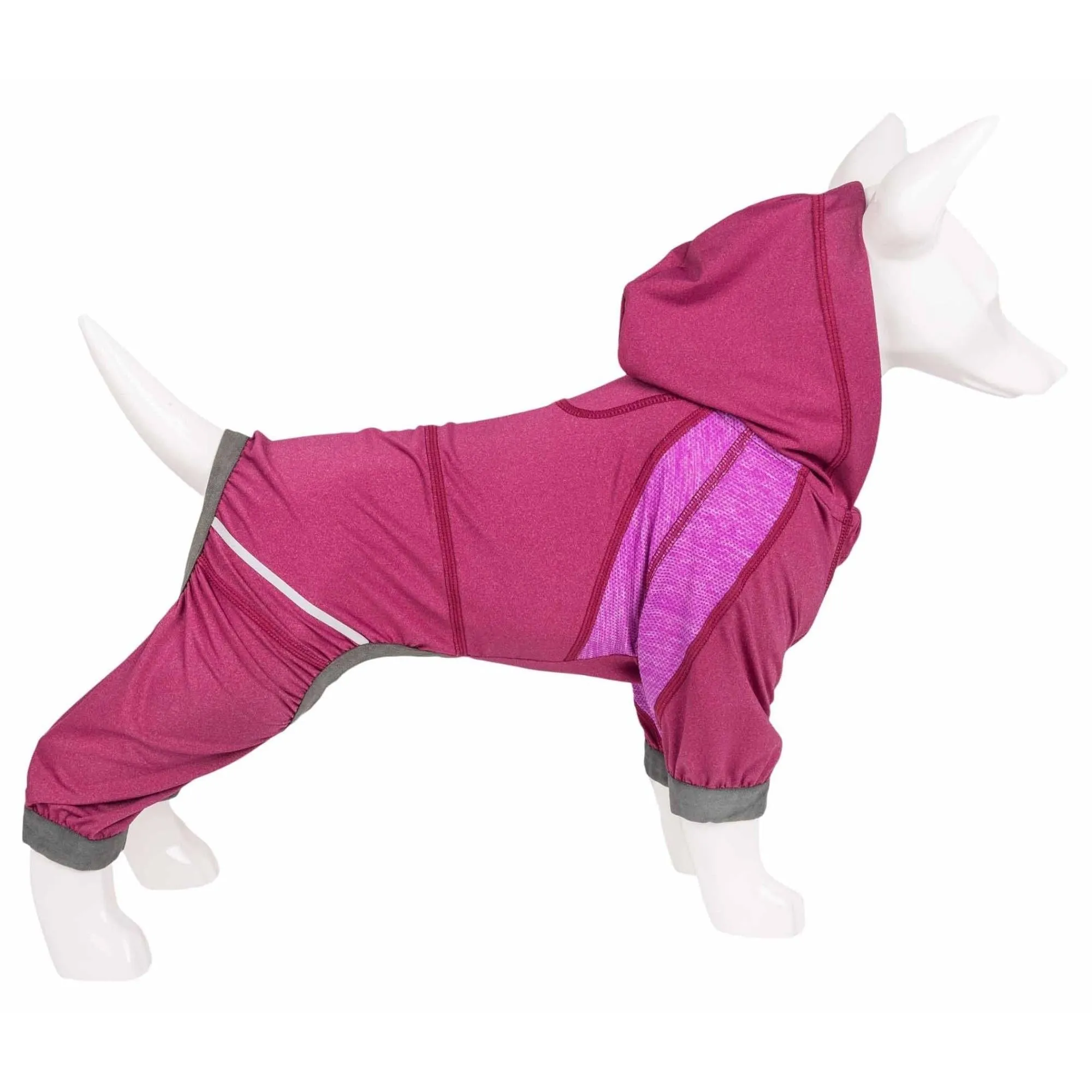 Yoga Dog Hoodie