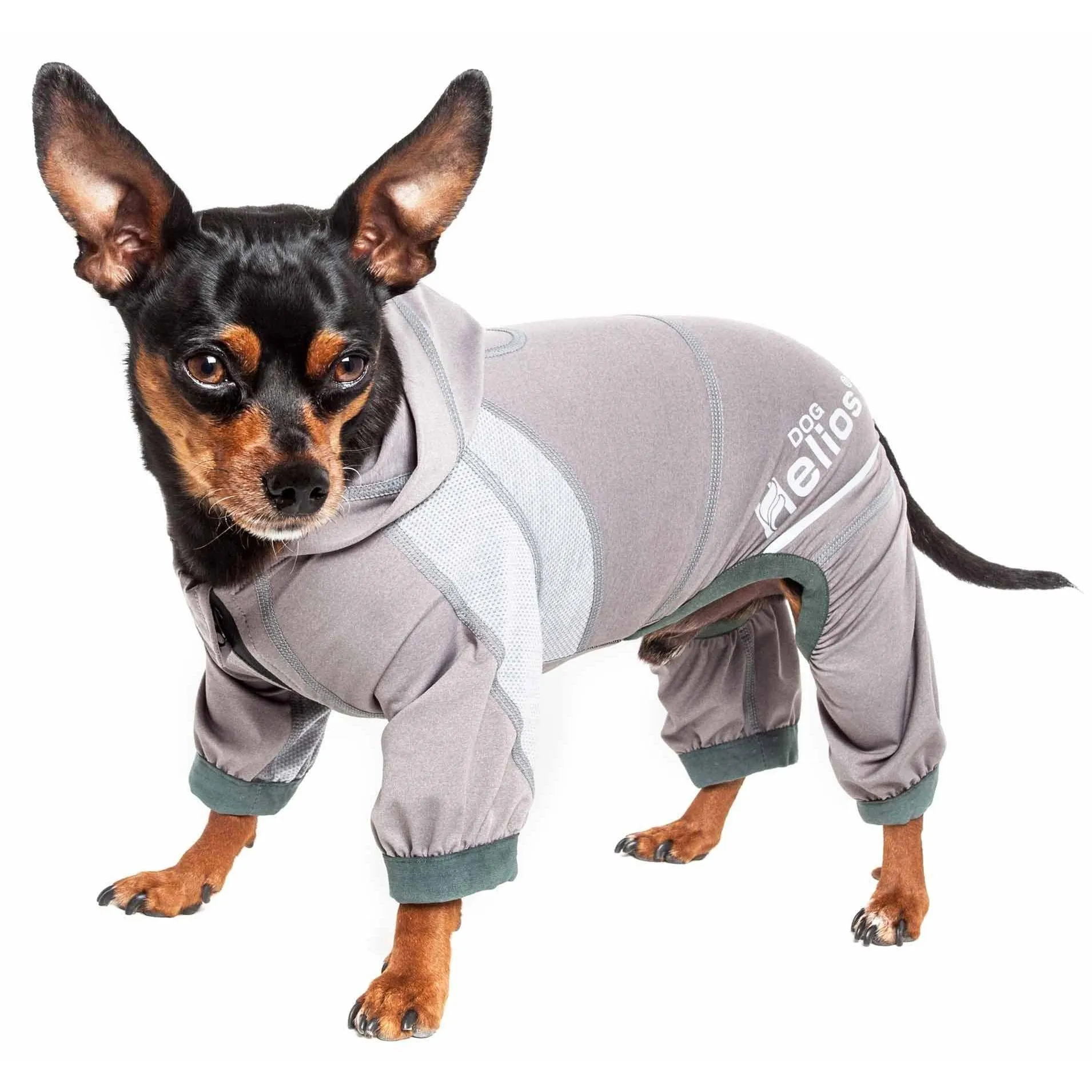 Yoga Dog Hoodie