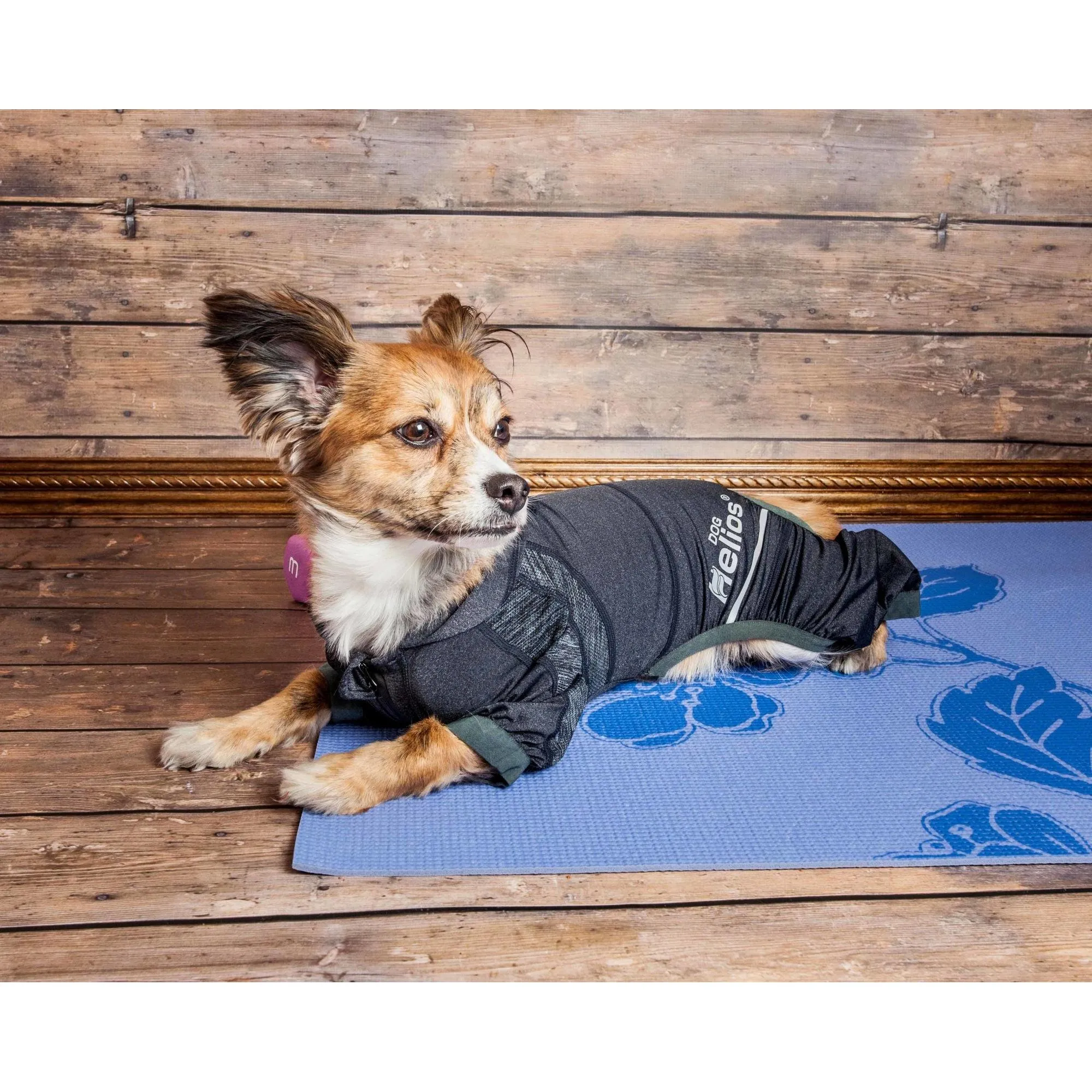 Yoga Dog Hoodie