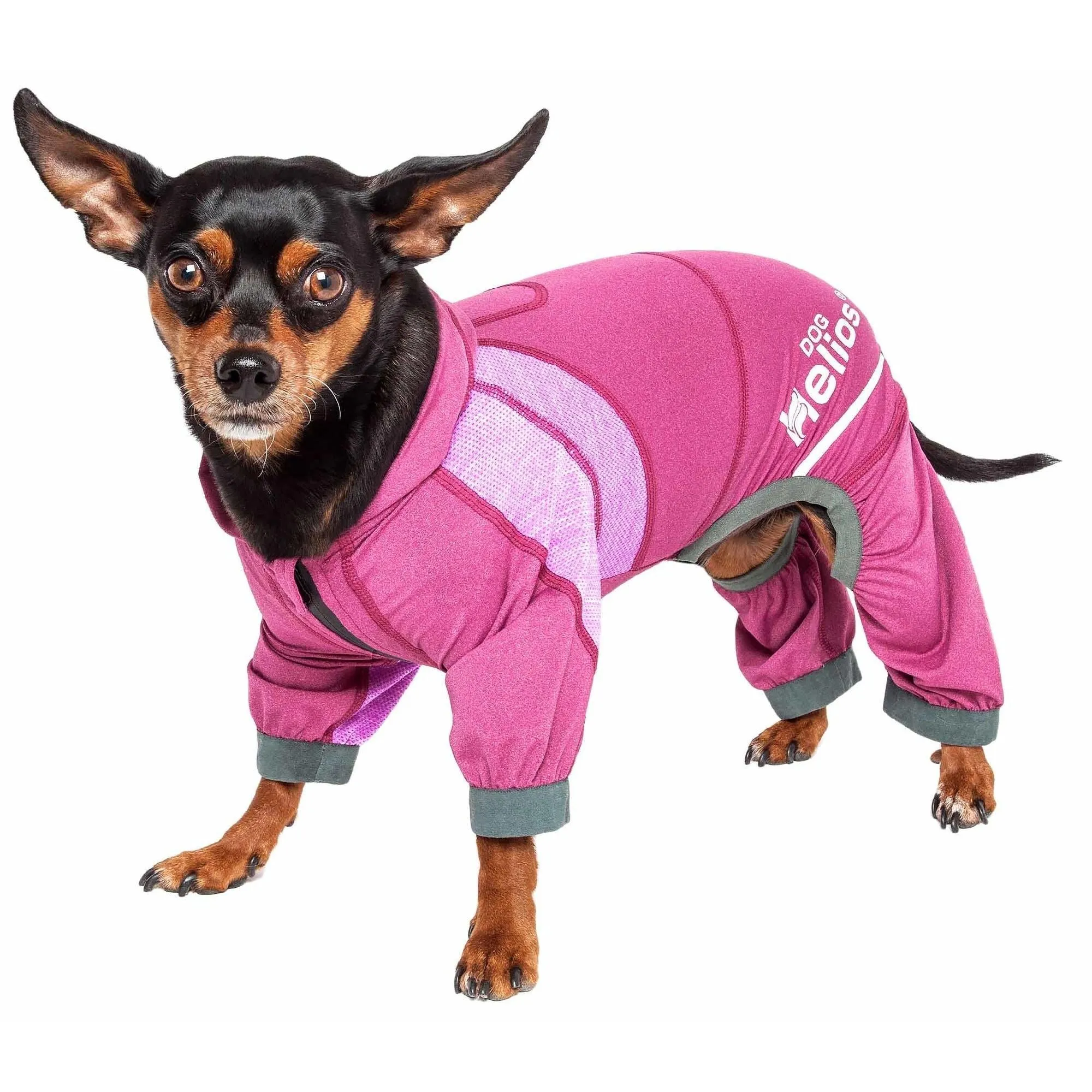 Yoga Dog Hoodie