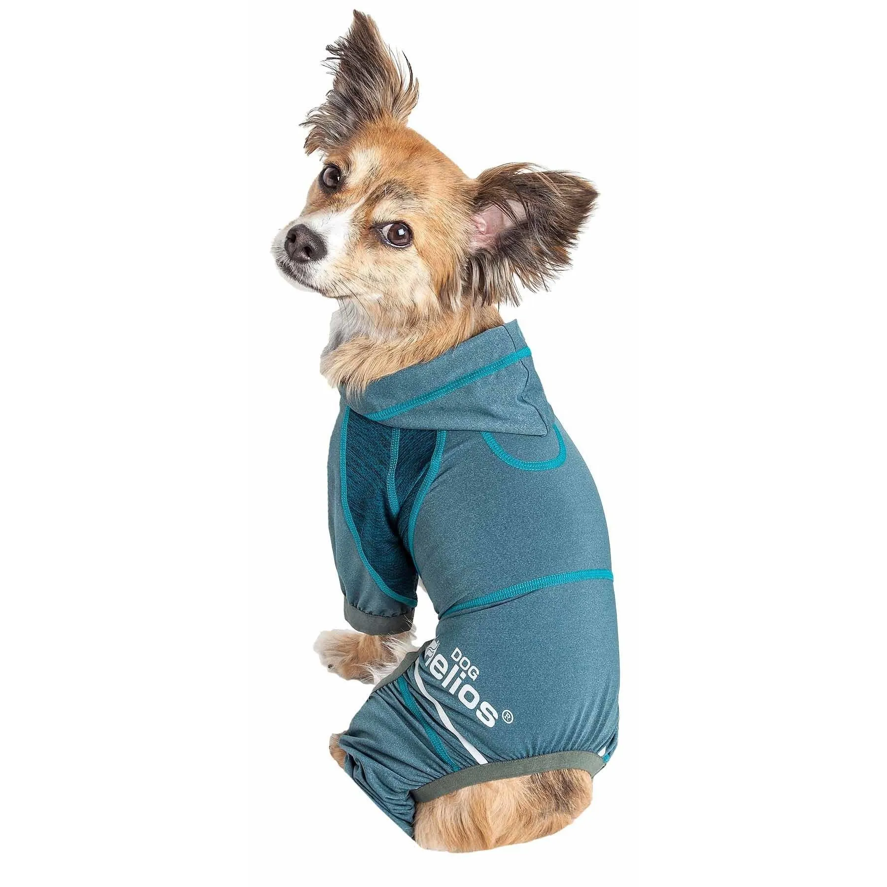 Yoga Dog Hoodie
