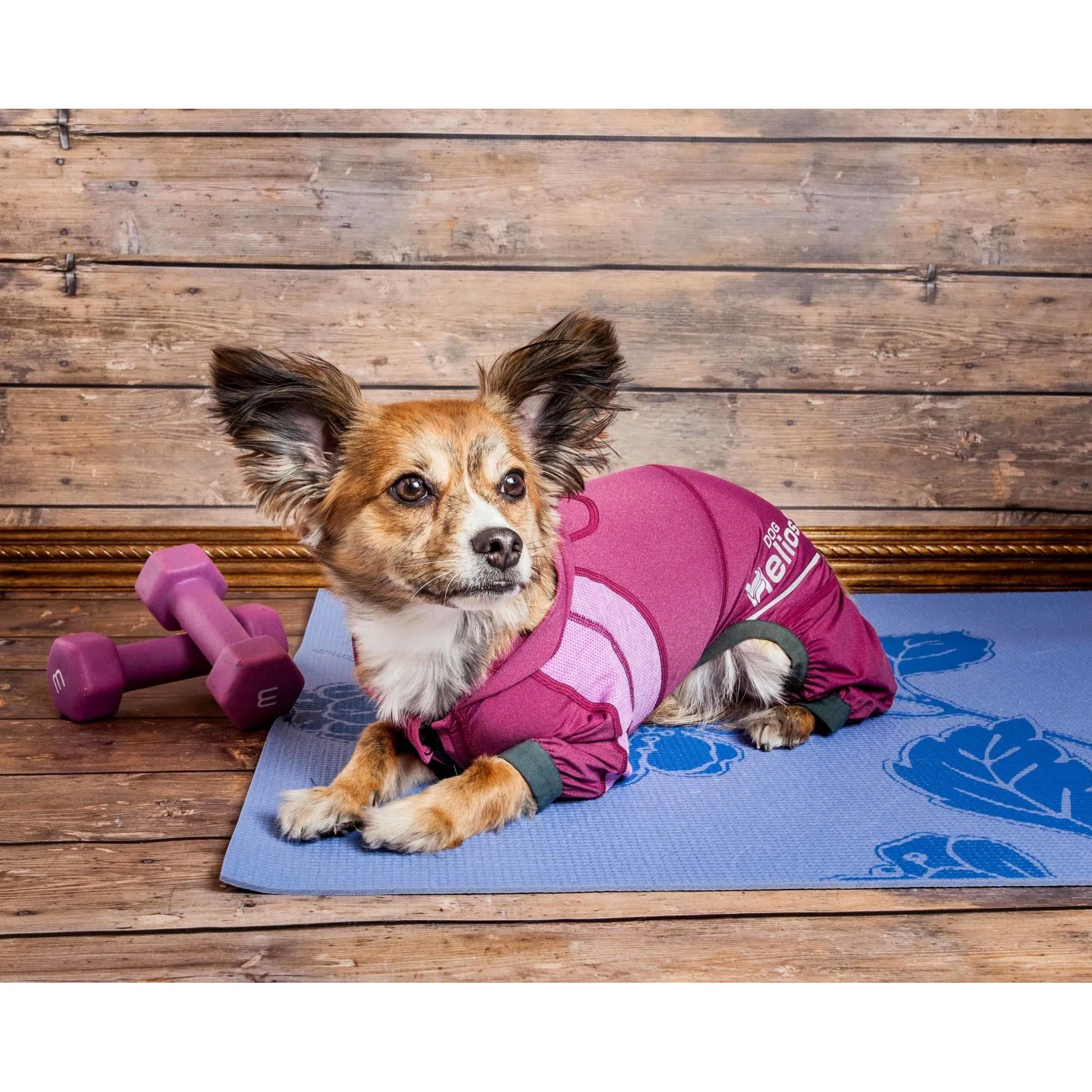 Yoga Dog Hoodie