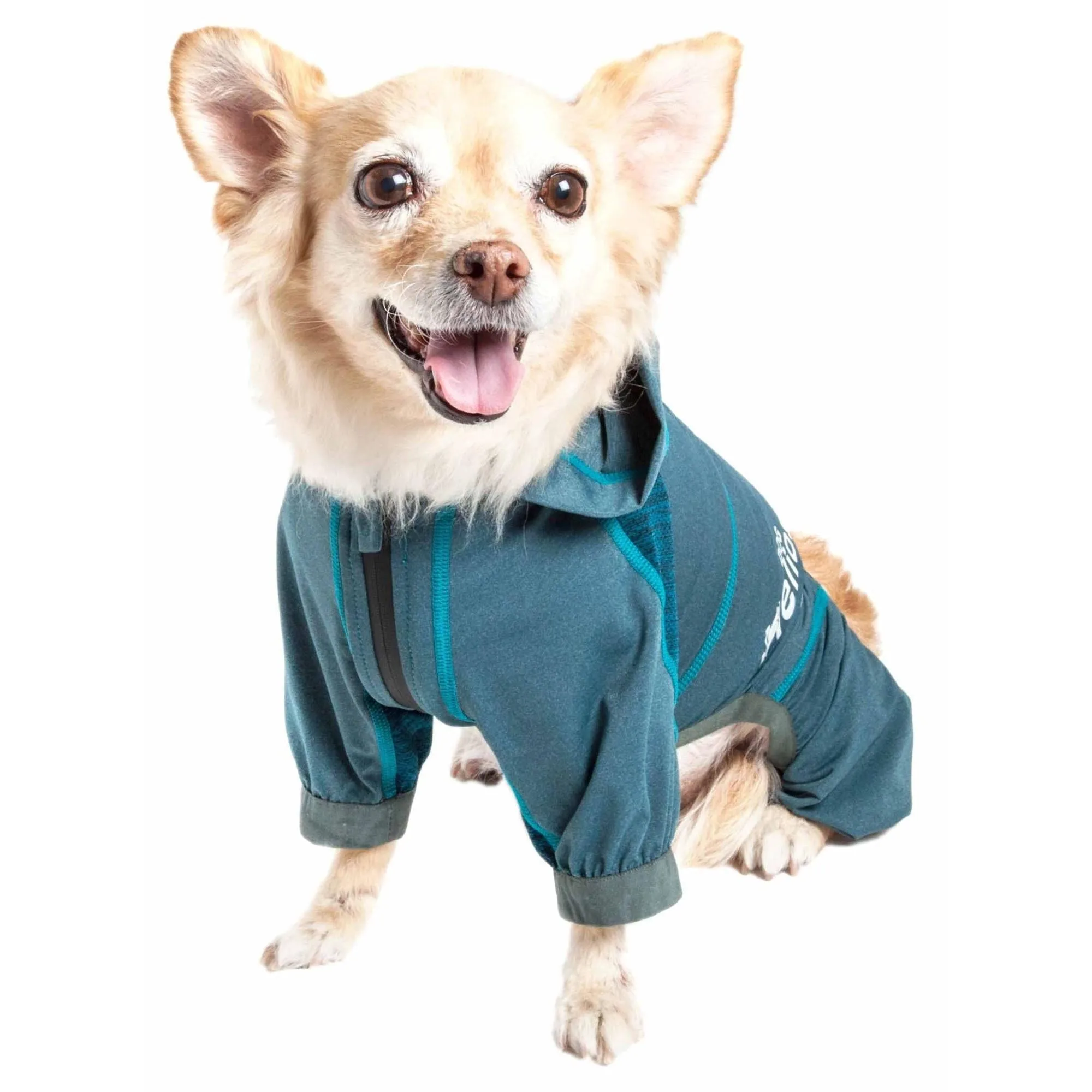 Yoga Dog Hoodie