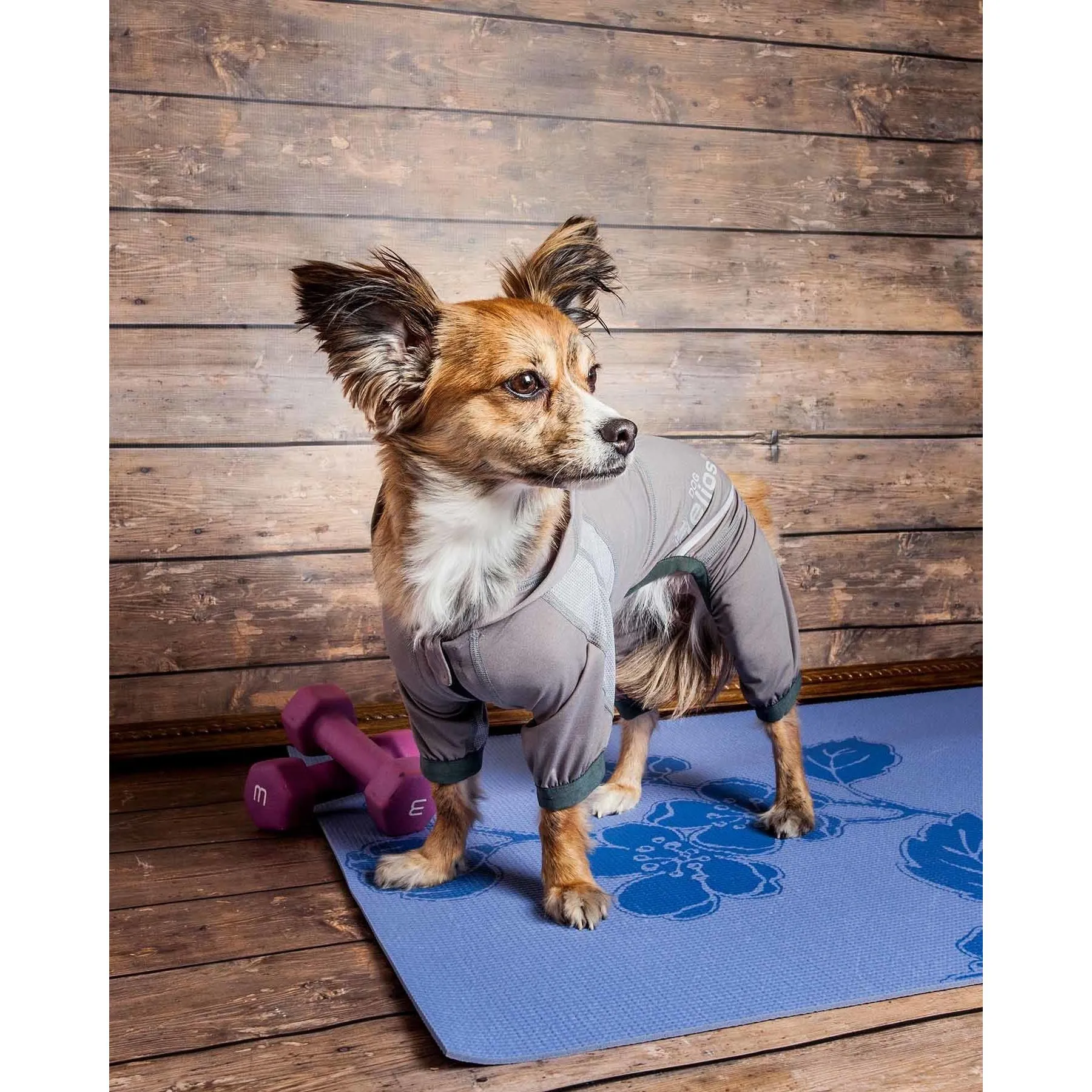 Yoga Dog Hoodie