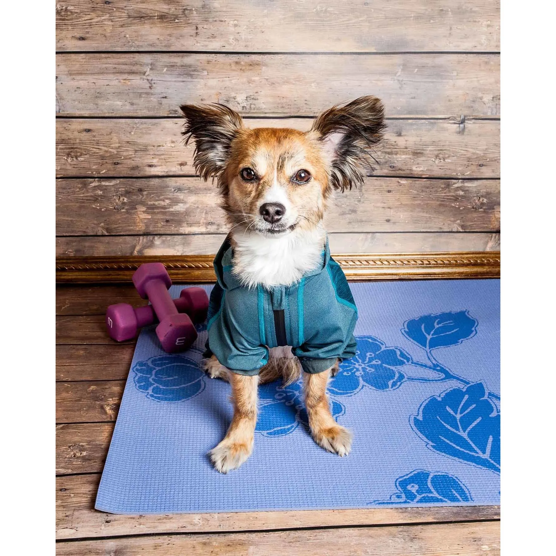 Yoga Dog Hoodie