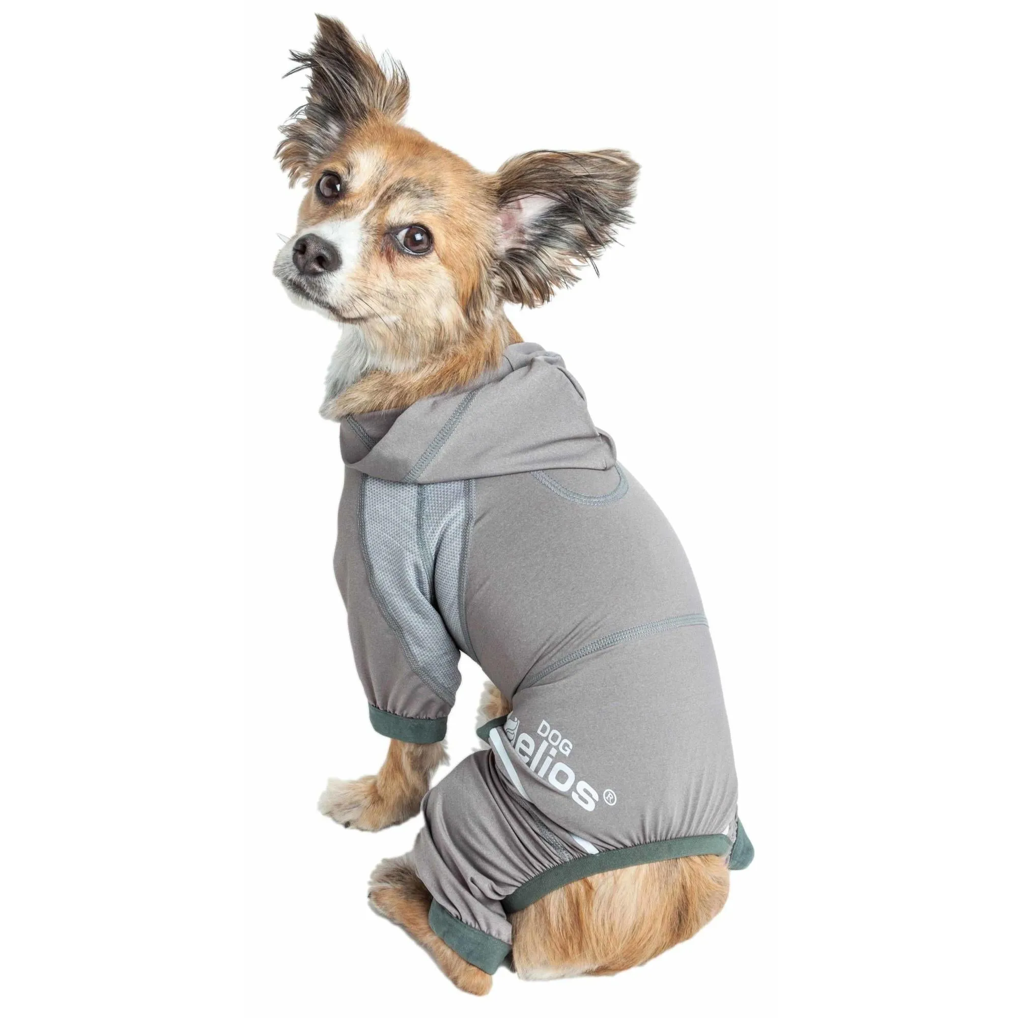 Yoga Dog Hoodie