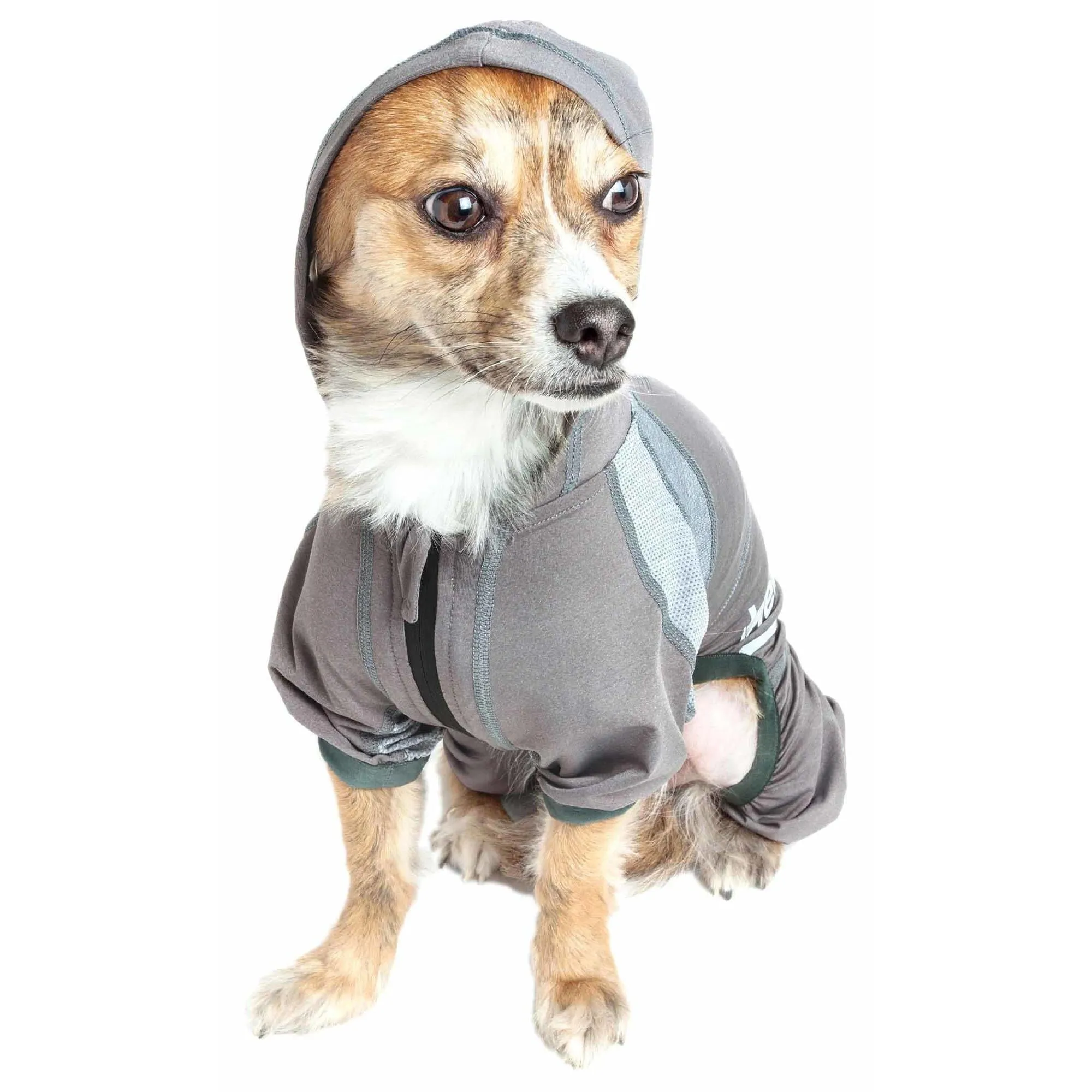 Yoga Dog Hoodie