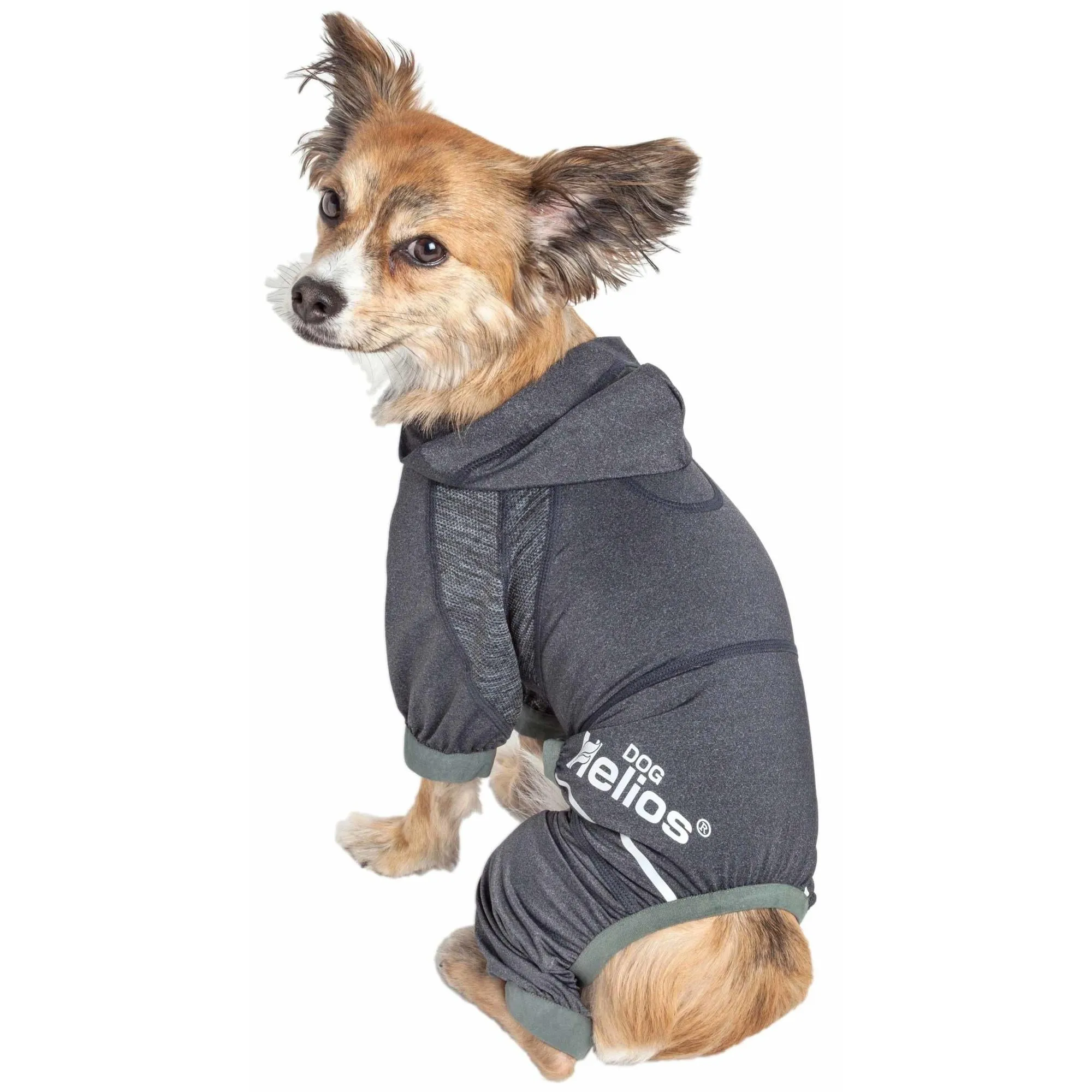 Yoga Dog Hoodie