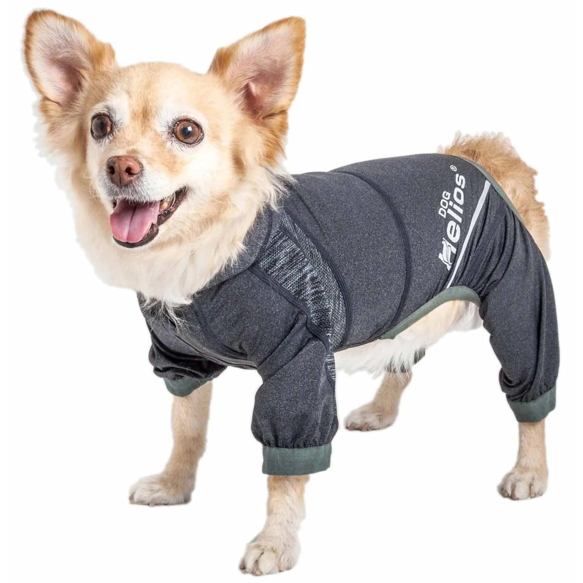 Yoga Dog Hoodie