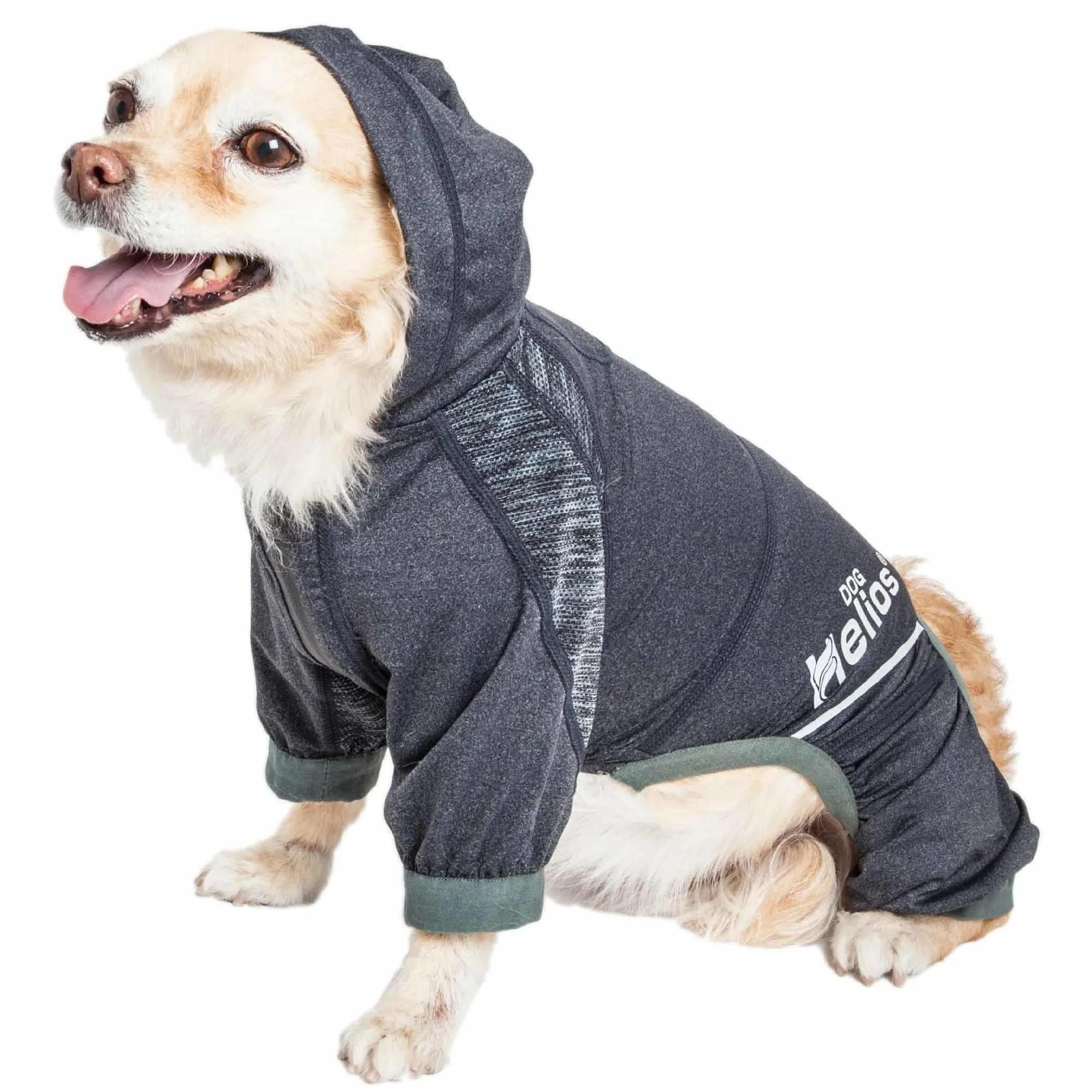 Yoga Dog Hoodie